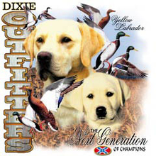 4800L YELLOW LAB