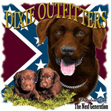 4057L CHOCOLATE LAB NEXT GENERATION
