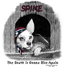 3678L DOG IN DOG HOUSE REBEL BAND