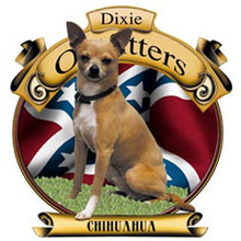 4108L CHIHUAHUA