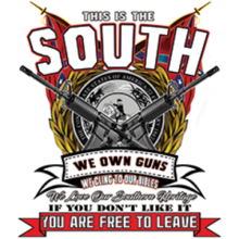 This is the South - We Own Guns