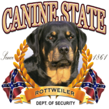 5729 Canine Nation - Rottweiler