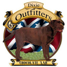 4109L Chocolate Lab