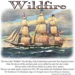 5932L WILDFIRE SHIP (POL CORR)