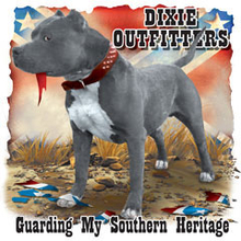 6201L GUARDING MY SOUTHERN HERITAGE